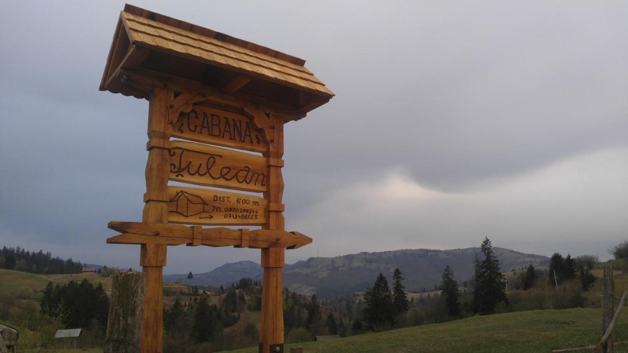 Tulean Cabin Săcel Dış mekan fotoğraf
