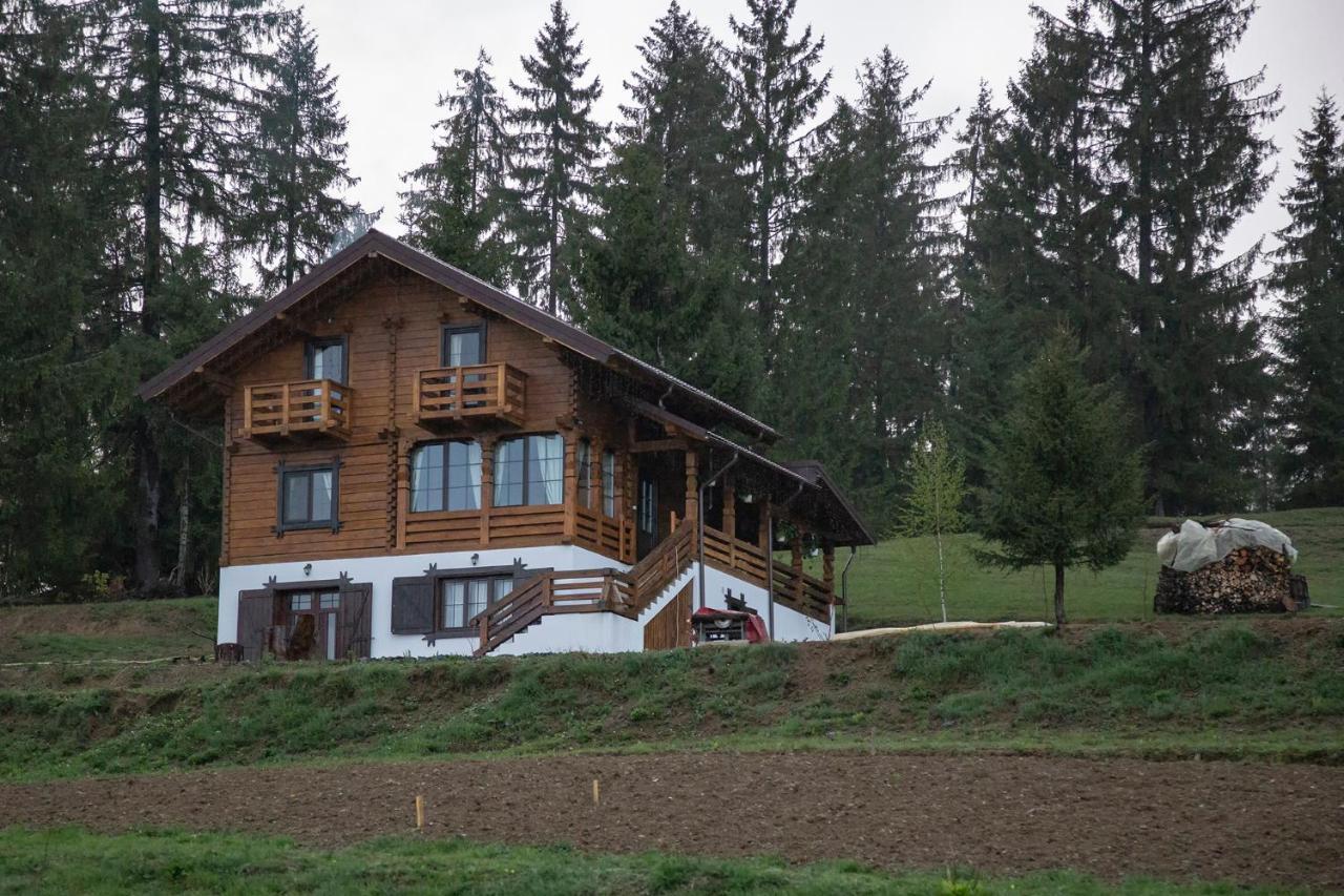 Tulean Cabin Săcel Dış mekan fotoğraf