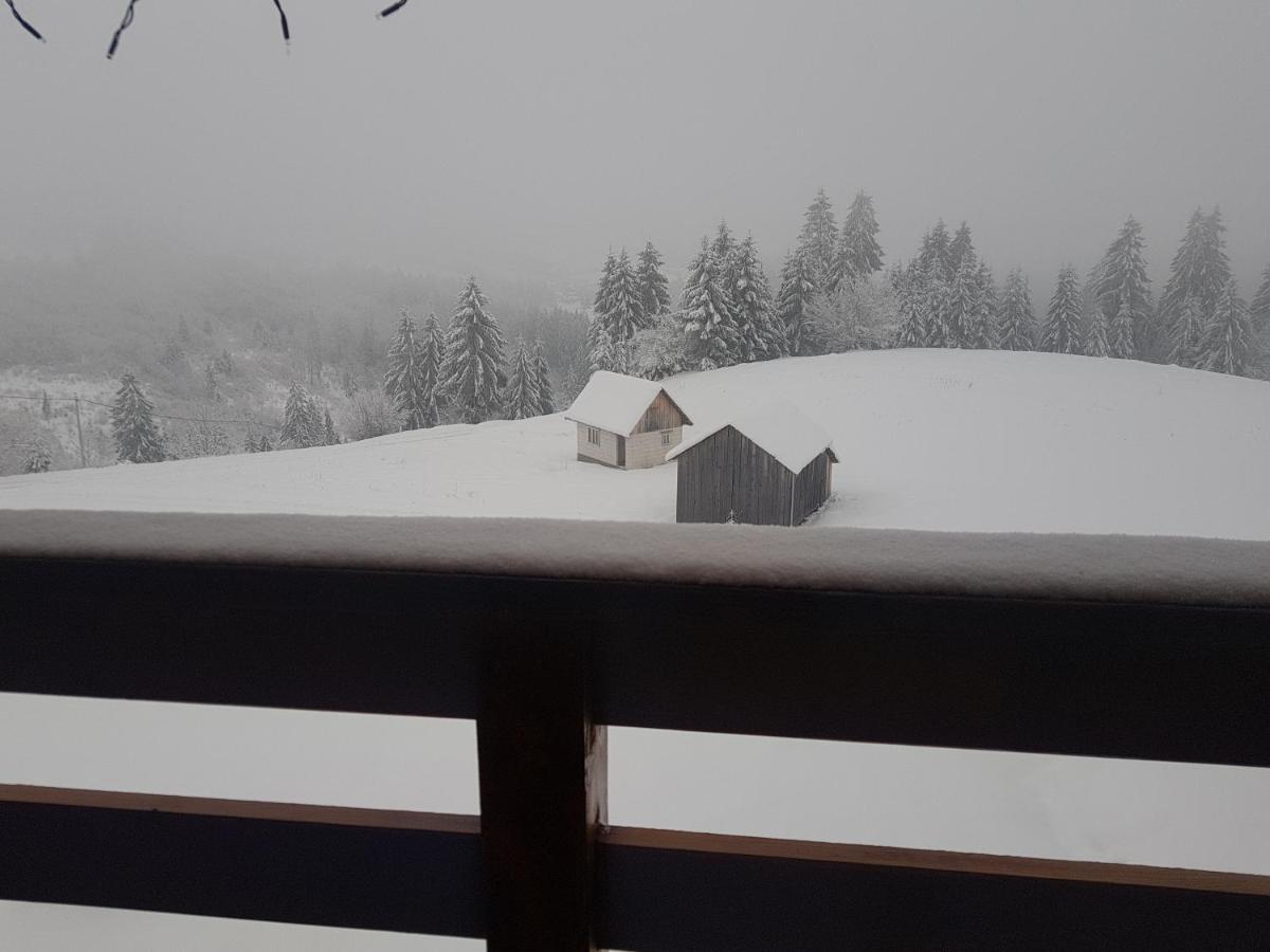 Tulean Cabin Săcel Dış mekan fotoğraf