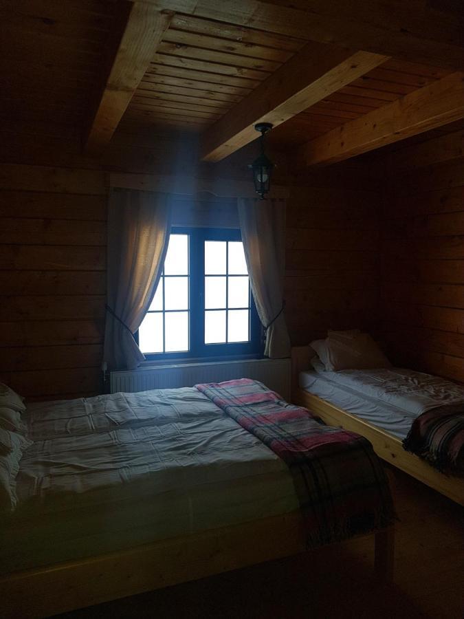 Tulean Cabin Săcel Dış mekan fotoğraf