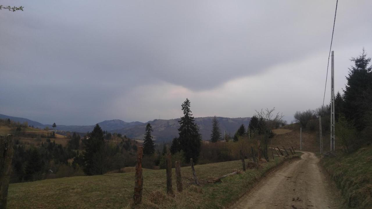 Tulean Cabin Săcel Dış mekan fotoğraf