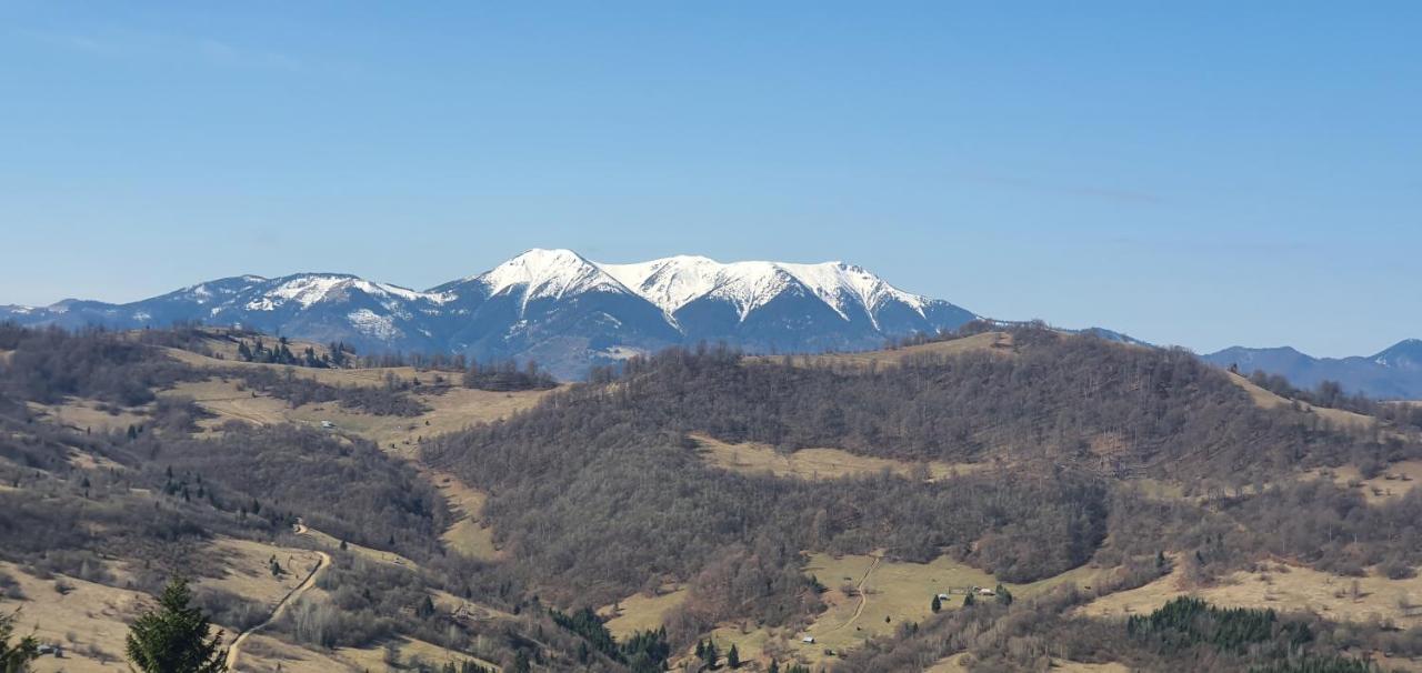 Tulean Cabin Săcel Dış mekan fotoğraf